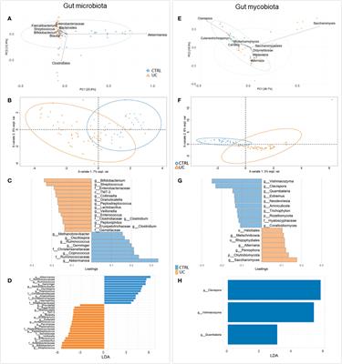 An integrative multi-omic analysis defines gut microbiota, mycobiota, and metabolic fingerprints in ulcerative colitis patients